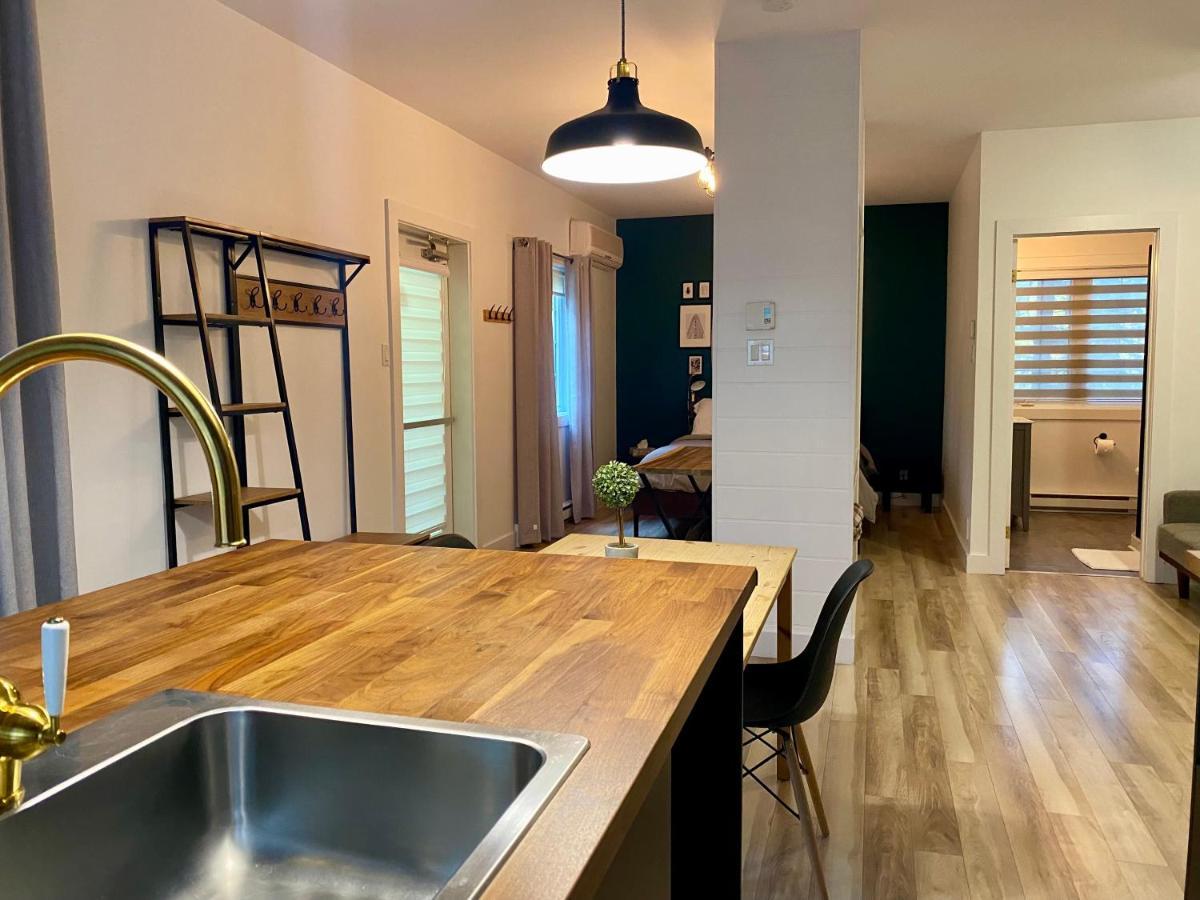 Condos St-Come - Le Loft, Au Coeur Des Activites Saint Come Екстер'єр фото
